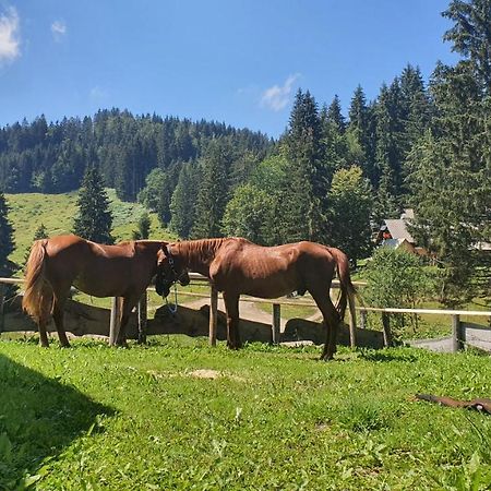 Koca Goska Ravan Hotel Kamna Gorica Kültér fotó