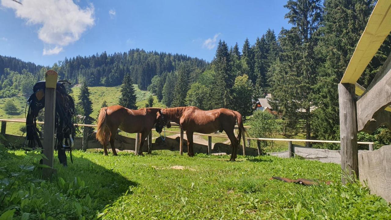 Koca Goska Ravan Hotel Kamna Gorica Kültér fotó